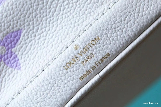 WIS NOÉ VUITTON NANO LOUIS 0730